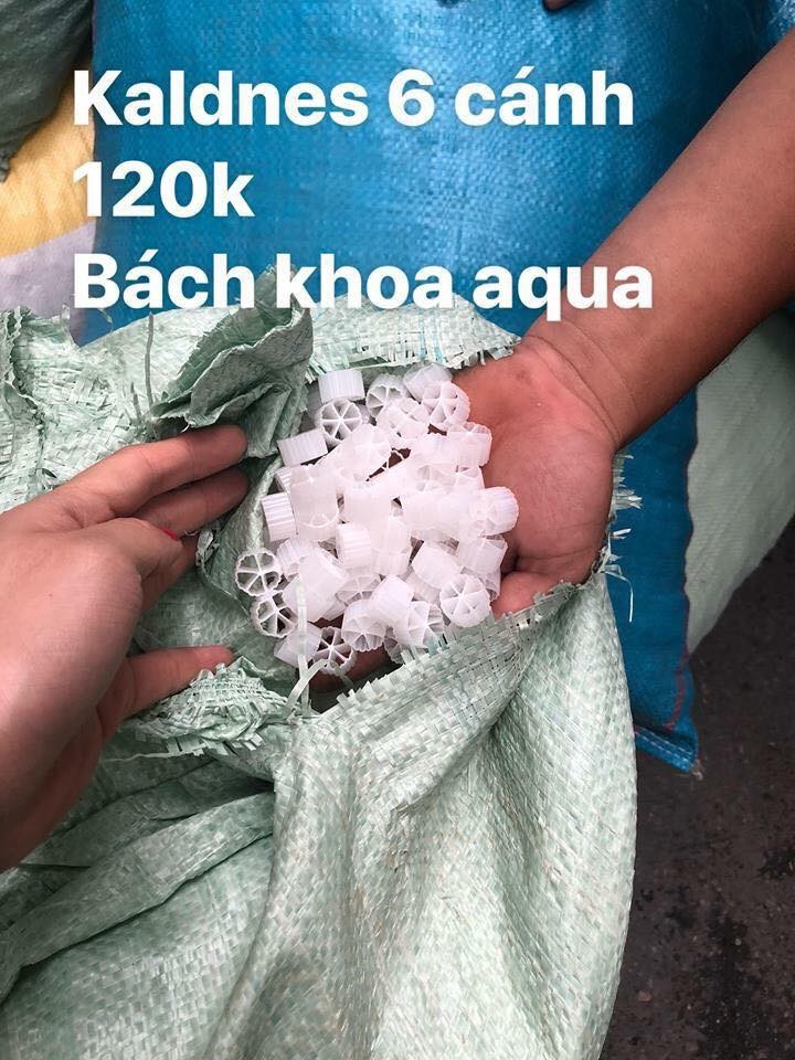 Hạt lọc Kaldnes Micro-4 cánh-6 cánh-8 cánh